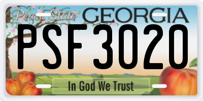 GA license plate PSF3020