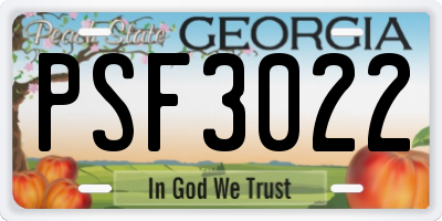 GA license plate PSF3022