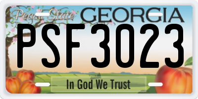 GA license plate PSF3023