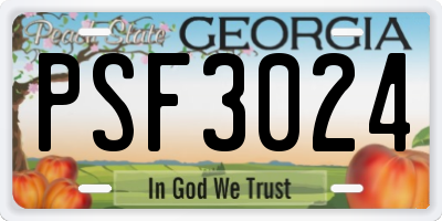 GA license plate PSF3024