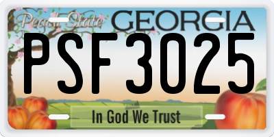 GA license plate PSF3025