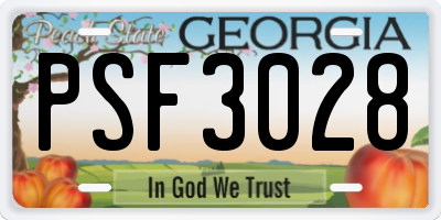 GA license plate PSF3028