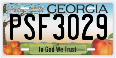 GA license plate PSF3029