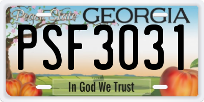 GA license plate PSF3031