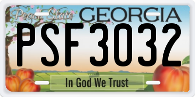 GA license plate PSF3032