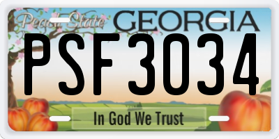 GA license plate PSF3034