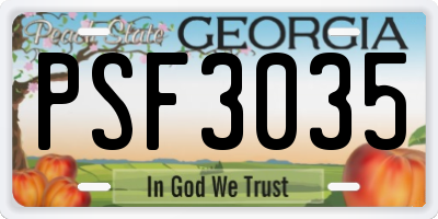 GA license plate PSF3035