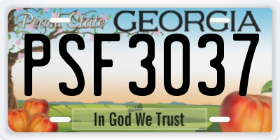 GA license plate PSF3037