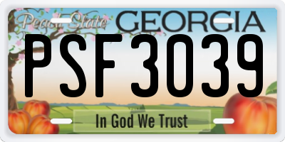 GA license plate PSF3039