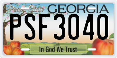 GA license plate PSF3040