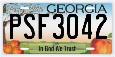 GA license plate PSF3042