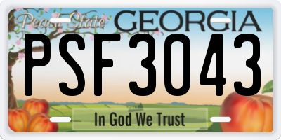 GA license plate PSF3043