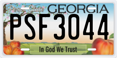 GA license plate PSF3044