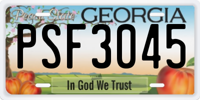 GA license plate PSF3045