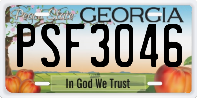 GA license plate PSF3046