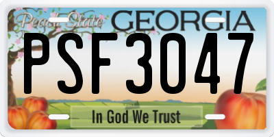 GA license plate PSF3047