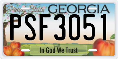 GA license plate PSF3051