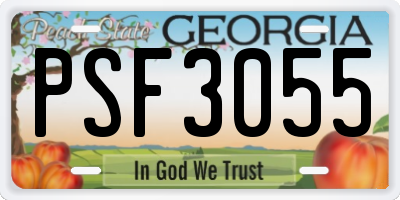 GA license plate PSF3055