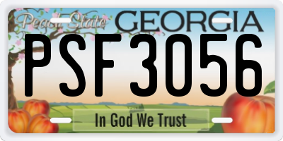 GA license plate PSF3056