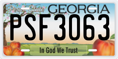 GA license plate PSF3063