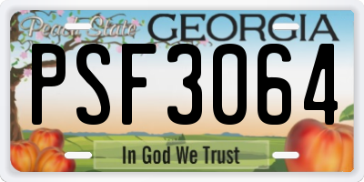 GA license plate PSF3064