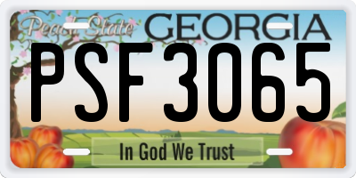 GA license plate PSF3065