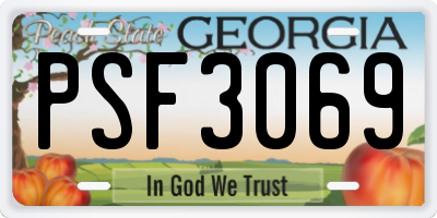 GA license plate PSF3069
