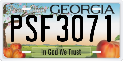 GA license plate PSF3071