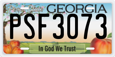 GA license plate PSF3073