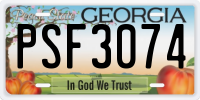 GA license plate PSF3074
