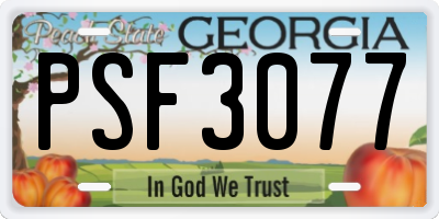 GA license plate PSF3077