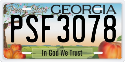 GA license plate PSF3078
