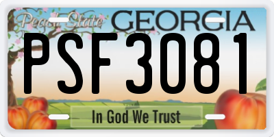 GA license plate PSF3081