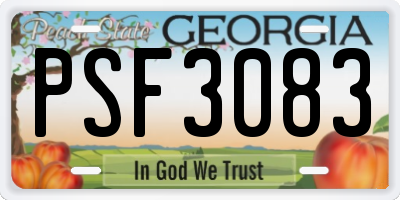 GA license plate PSF3083