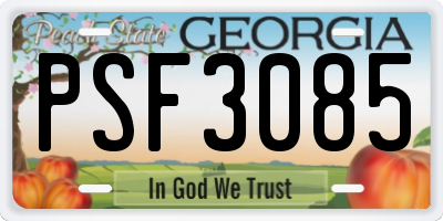 GA license plate PSF3085