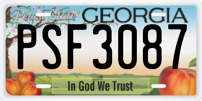 GA license plate PSF3087