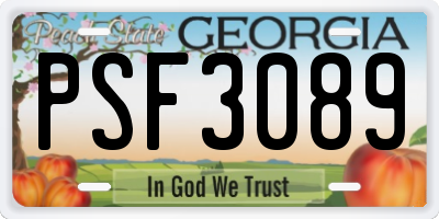 GA license plate PSF3089