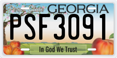 GA license plate PSF3091