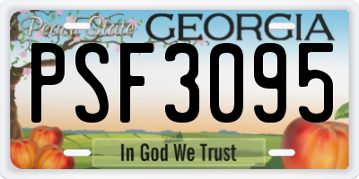 GA license plate PSF3095