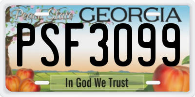 GA license plate PSF3099