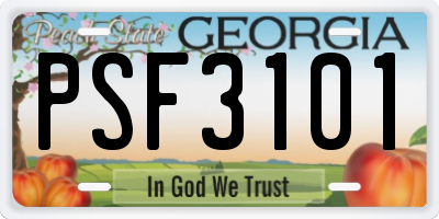 GA license plate PSF3101