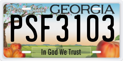 GA license plate PSF3103