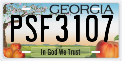 GA license plate PSF3107
