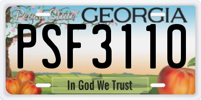 GA license plate PSF3110