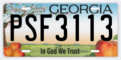 GA license plate PSF3113