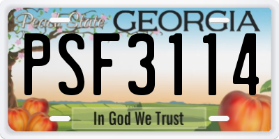 GA license plate PSF3114