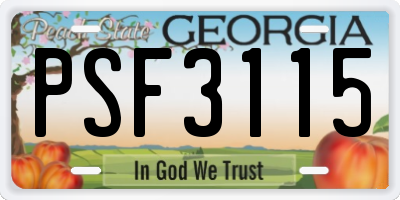 GA license plate PSF3115