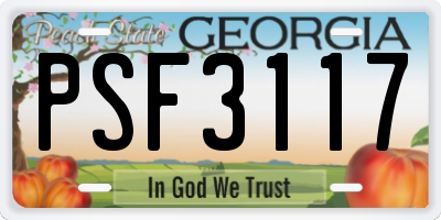 GA license plate PSF3117