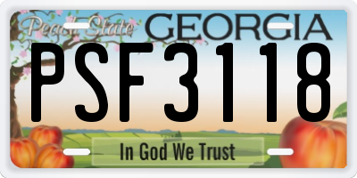 GA license plate PSF3118