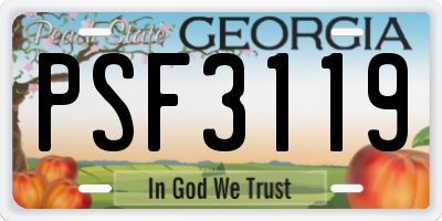 GA license plate PSF3119
